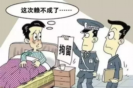 南市为什么选择专业追讨公司来处理您的债务纠纷？